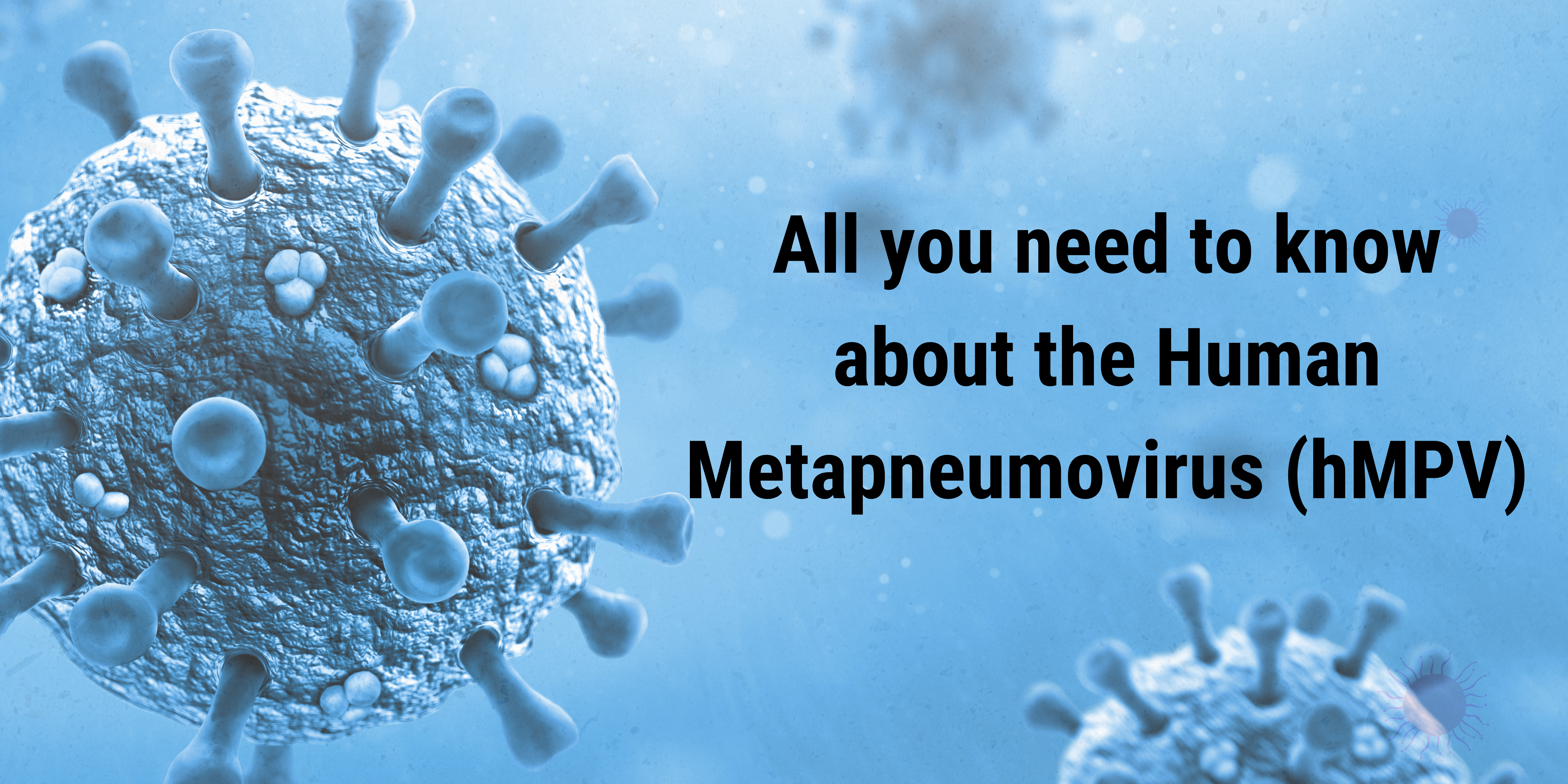 A Comprehensive Guide: Understanding the Human Metapneumovirus (hMPV)